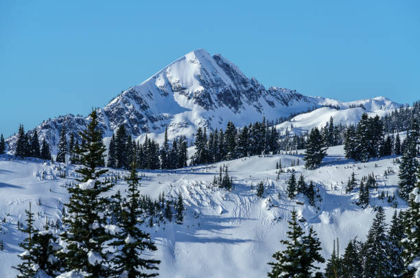 istock Mt. Rainier National Park In Winter 888514188