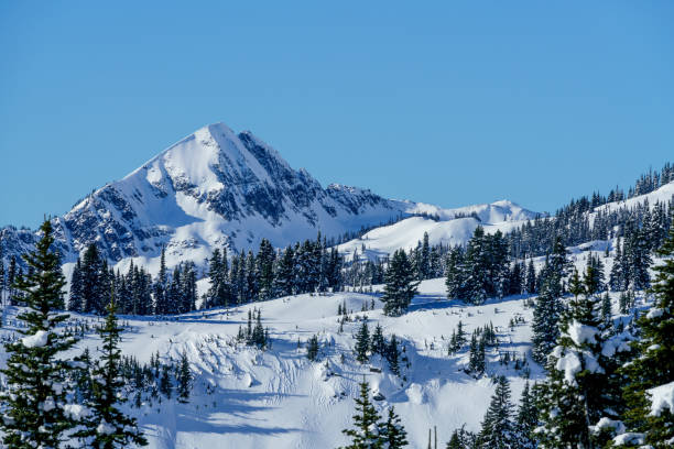 istock Mt. Rainier National Park In Winter 888514244
