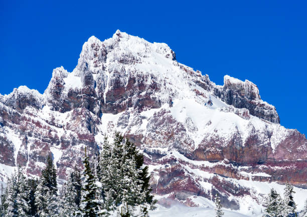 istock Mt. Rainier National Park 888515160
