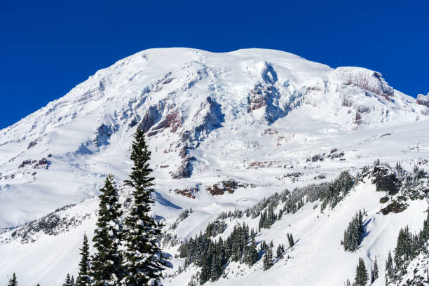 istock Mt. Rainier National Park In Winter 888515162