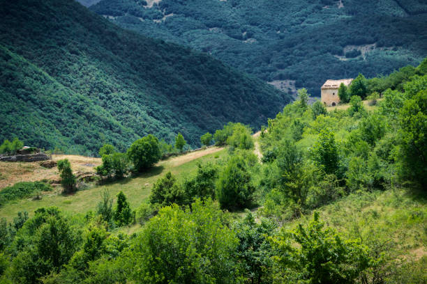 istock Stone farmhouse in mountain valley 888515168