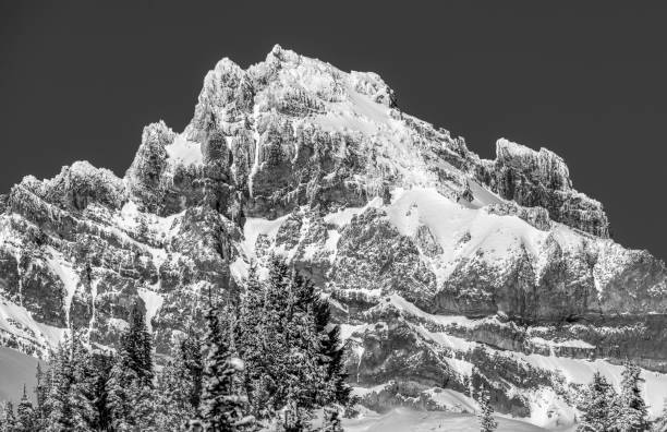 istock Mt. Rainier National Park In Winter 888515252