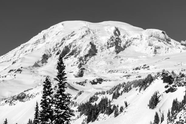 istock Mt. Rainier National Park In Winter 888515326