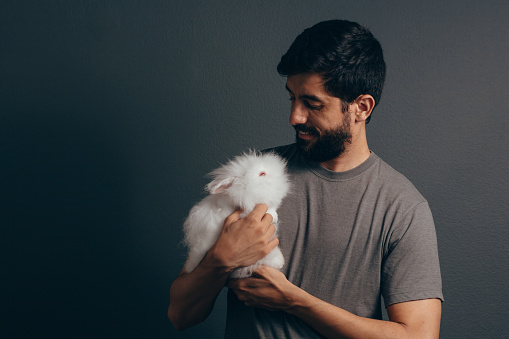 Adorable bunny in hands. Cute pet rabbit being cuddled by his owner. Concept of love for animals