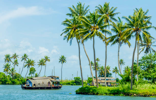 houseboat on kerala backwaters, in alleppey, kerala, india - kerala imagens e fotografias de stock