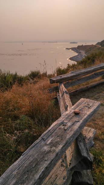 Smokey coast in summer