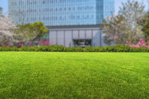 istock Modern office block with green lawn against sky 888562300
