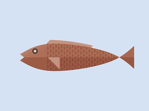 One Fish Vector One Fish Isolate Stock Illustration - Download Image Now - Animal ...