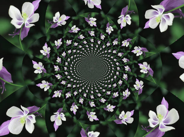 istock decorative flowers in abstract picture 888581976