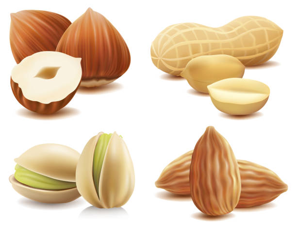 satz von muttern vektor illustration-haselnuss, erdnuss, pistazie, mandel - walnut nut nutshell peanut stock-grafiken, -clipart, -cartoons und -symbole