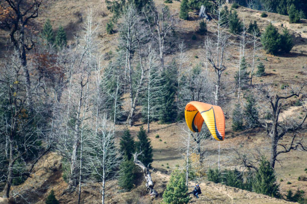 istock Paragliding at Manali, Himachal Pradesh. 888613766