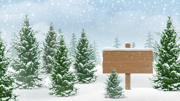 ilustrações, clipart, desenhos animados e ícones de sinal de madeira de floresta de inverno - outdoors beauty beauty in nature beautiful