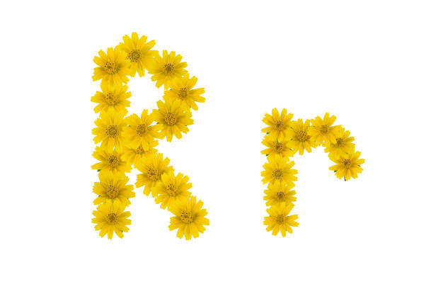 istock Letter R, alphabet made from yellow Wedelia flowers 888652924
