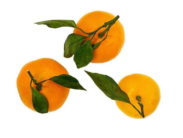 istock Top view of tangerines with green leaves 888659934