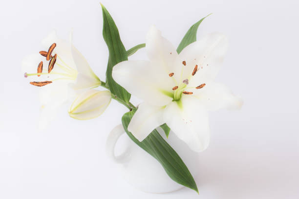 istock White lily, white vase of flowers 888667108