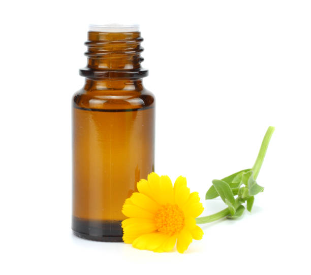 istock aromatherapy essential oil with marigold flowers isolated on white background 888669252
