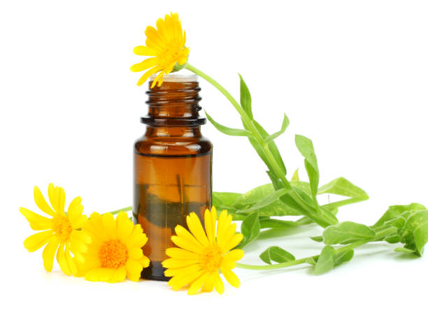 istock aromatherapy essential oil with marigold flowers isolated on white background 888671412