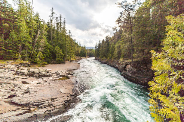 istock Whitewater River in Glacier National Park 888672168
