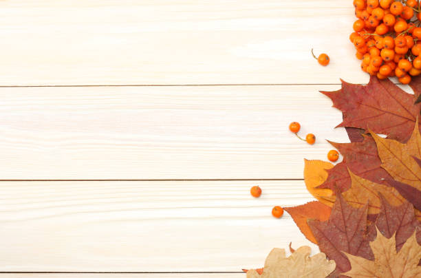 istock autumn background with colored leaves on wooden board. top view with copy space 888682254