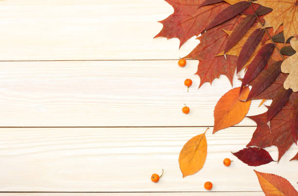 istock autumn background with colored leaves on wooden board. top view with copy space 888682314