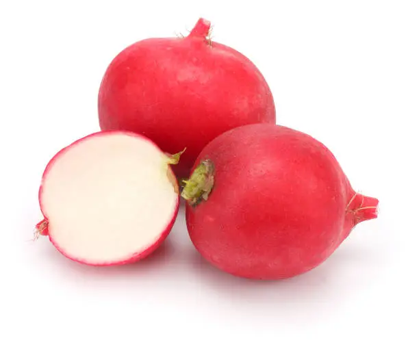 Photo of fresh radish isolated on white background