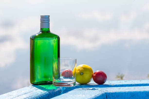 bottiglia di gin con il bicchiere e frutta sul tavolo vicino a un lago - gin decanter whisky bottle foto e immagini stock