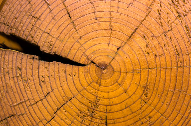 la textura del árbol, el ángulo de la casa desde el registro - wood circular saw dirty old fotografías e imágenes de stock
