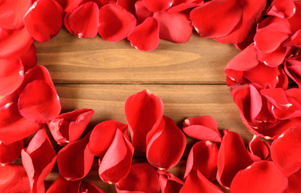 istock Red rose petals border on wood background 888723892