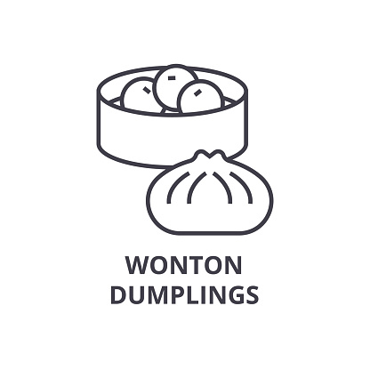 wonton, dumplings line icon, outline sign, linear symbol, flat vector illustration