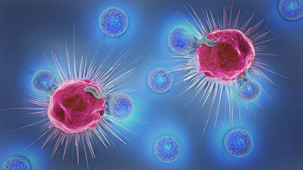 illustrazione 3d di una cellula tumorale e linfociti - blood cell cell human cell animal cell foto e immagini stock