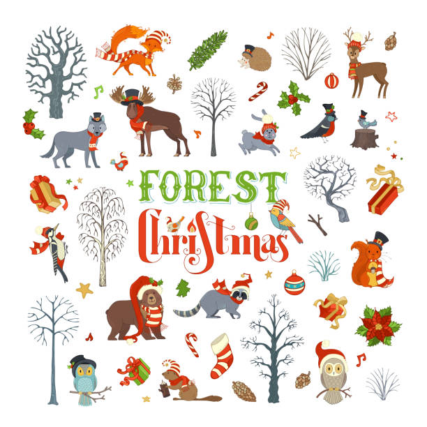 Forest Christmas. Vector set of winter trees and forest animals in Santa hat and scarf. Moose, bear, fox, wolf, deer, owl, hare, squirrel, raccoon, hedgehog, birds, gift boxes and Christmas baubles. woodland park zoo stock illustrations