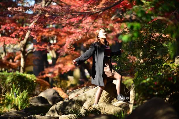 jovem mulher japonesa anda pisando pedras riacho, tóquio - footpath tree japan stepping stone - fotografias e filmes do acervo