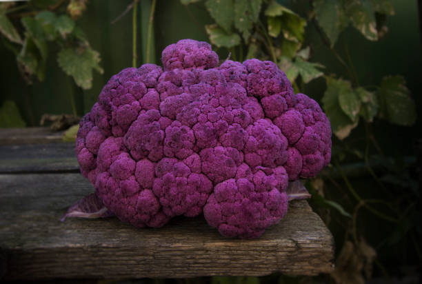 istock fresh juicy cauliflower on a wooden background 888739936