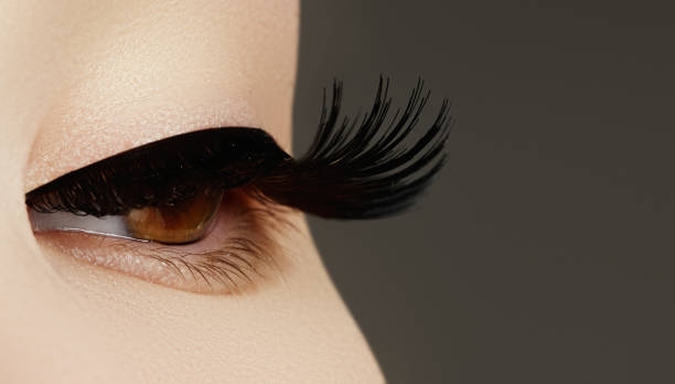 istock Beauty face makeup. Make up. Eyelashes extensions. Perfect Make- 888762048