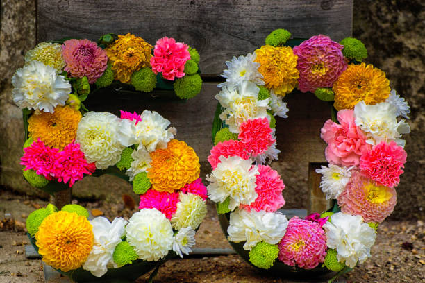 Dahlia flowers fashioned into garlands in the shape of the number 50. An ideal image for birthday and anniversary cards.