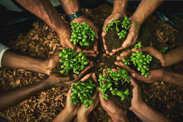 istock Give green a chance - it might just grow on you 888775646