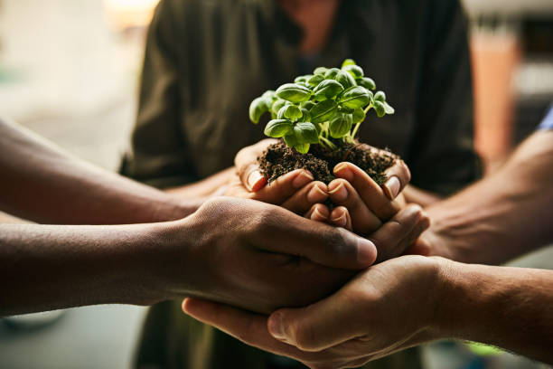 The potential for growth is great when we stand together Closeup shot of a group of unidentifiable people holding a plant growing in soil hands holding plant soil stock pictures, royalty-free photos & images