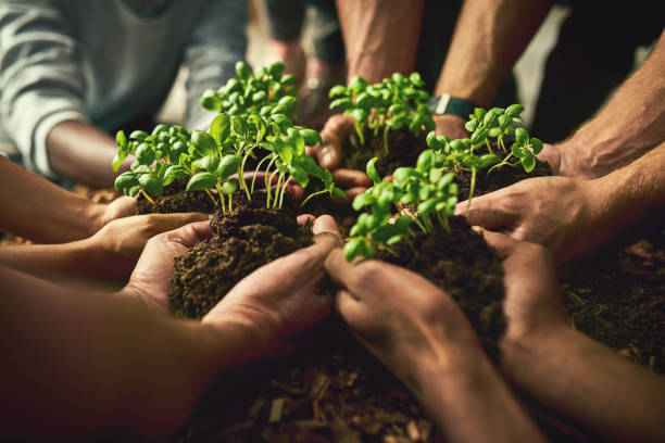 istock We are all equally responsible for the future 888776710