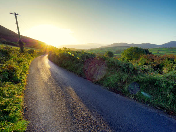 istock Road Amidst Trees Against Sky During Sunset 888780532