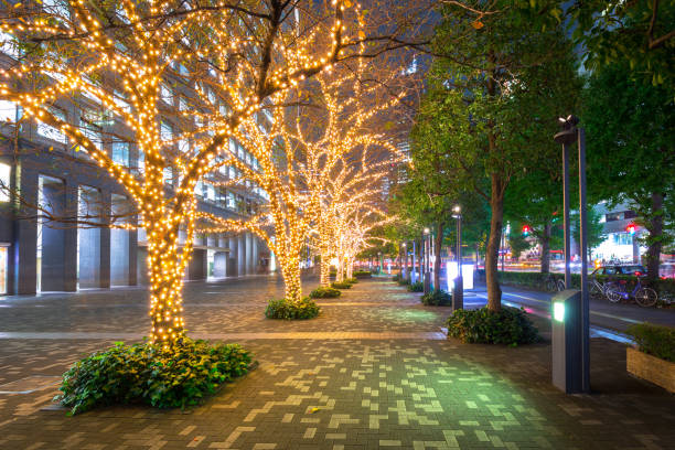 istock Winter illumination in Tokyo, Japan 888796826