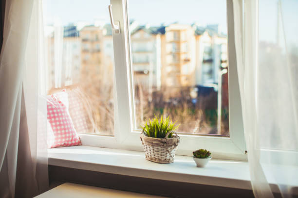 istock Cozy sill - place to relax 888800184
