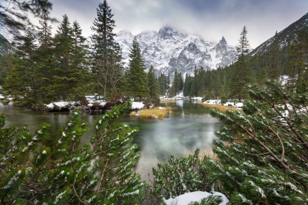 피쉬 크릭에서 아름 다운 tatra 산 보기 - tatra mountains zakopane lake mountain 뉴스 사진 이미지