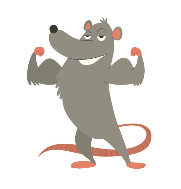 218 Mouse With Long Nose Stock Photos, Pictures & Royalty-Free Images - iStock 218 Mouse With Long Nose Stock Photos, Pictures & Royalty-Free Images - iStock