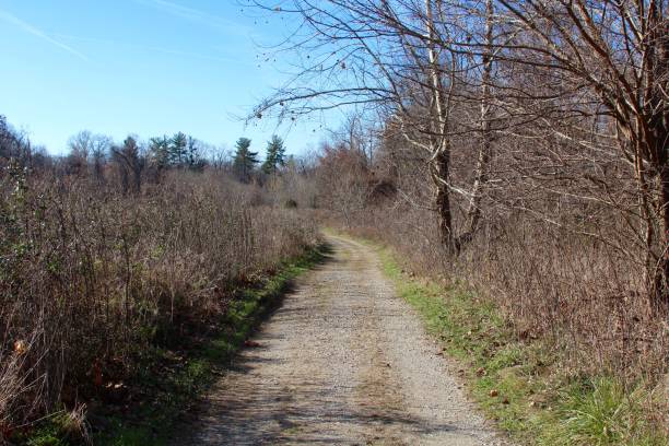 istock Long Gravel Road 888801908