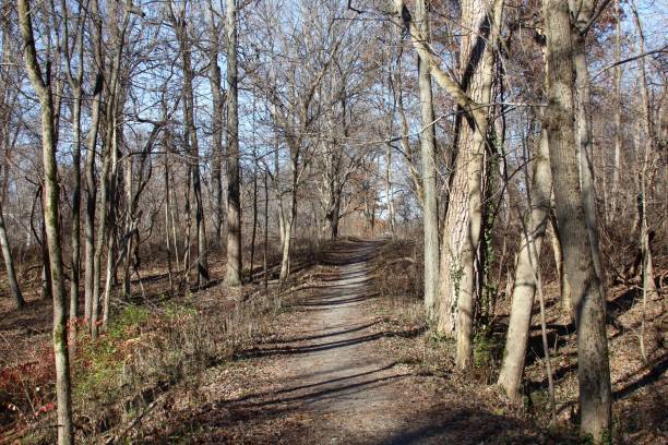 istock Trail in Late Autumn 888801910