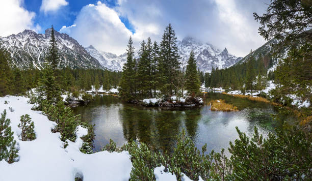 istock Beautiful Tatra mountains view at Fish Creek 888805110