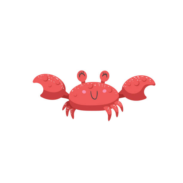 ilustrações de stock, clip art, desenhos animados e ícones de trendy cartoon style red crab character smile. simple gradient flat design for kid education. underwater life. - hermit