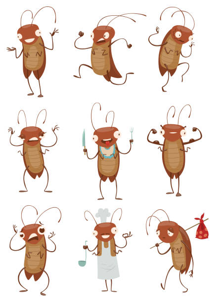 Set of funny brown cockroaches Vector set of cartoon images of funny brown cockroaches with antennas and six legs, with various emotions and actions on a white background. Anthropomorphic cartoon cockroach. Vector illustration. animal leg stock illustrations