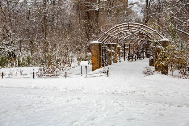 istock Winter in the city park 888831248