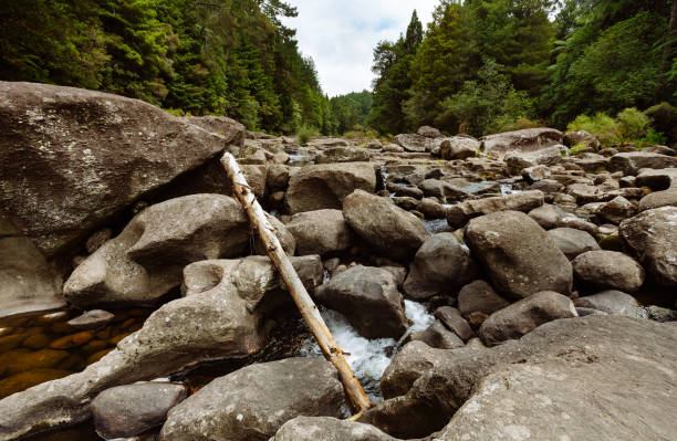 istock riverbed nature New Zealand 888840806